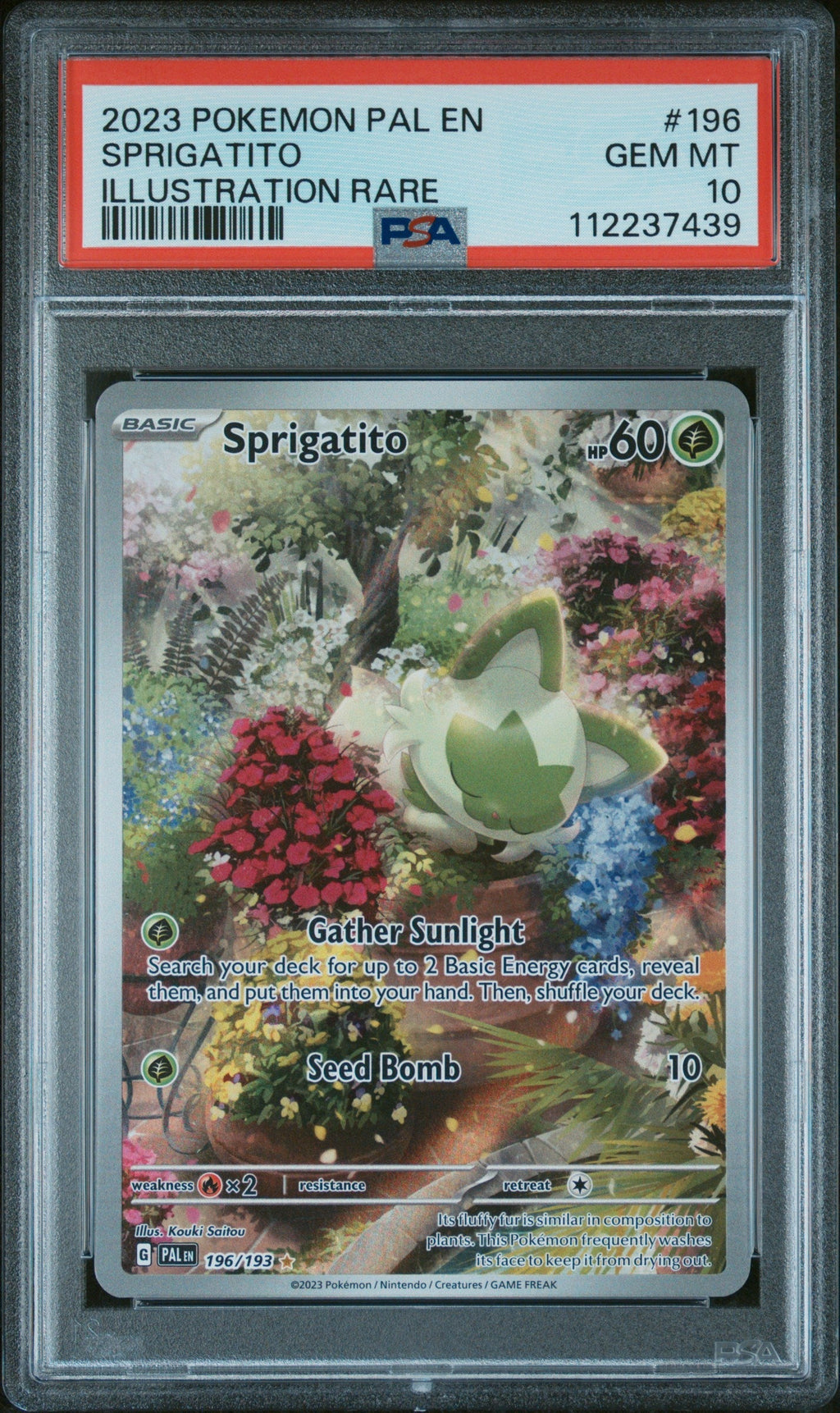 SPRIGATITO ILLUSTRATION RARE 2023 POKEMON PAL EN-PALDEA EVOLVED PSA GEM MT 10