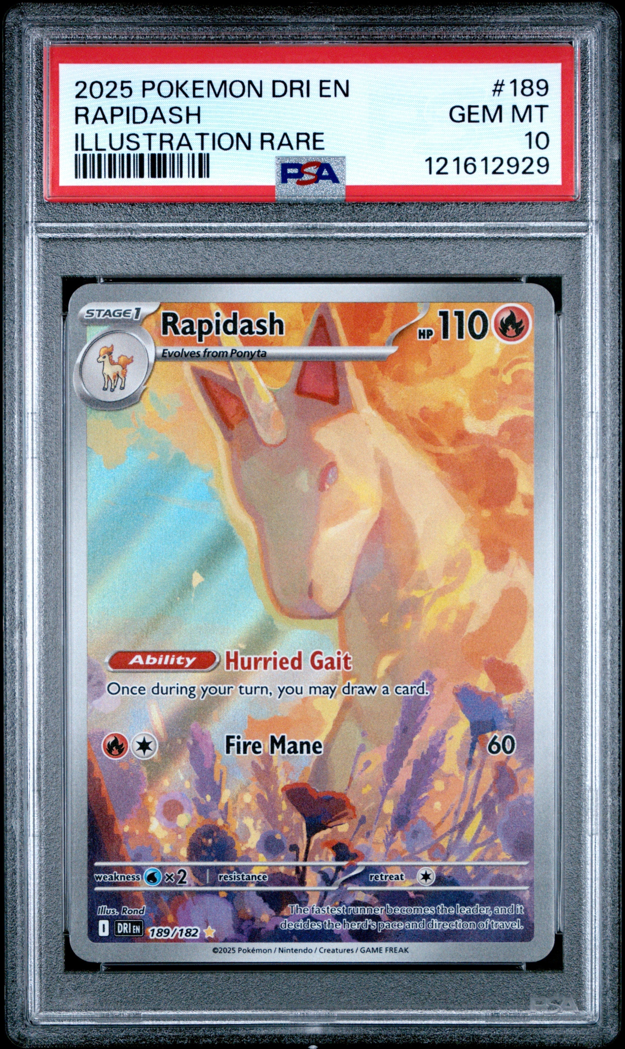 RAPIDASH ILLUSTRATION RARE 2025 POKEMON DRI EN-DESTINED RIVALS PSA GEM MT 10